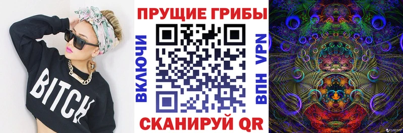 Галлюциногенные грибы мухоморы  MEGA ссылки  Гатчина 