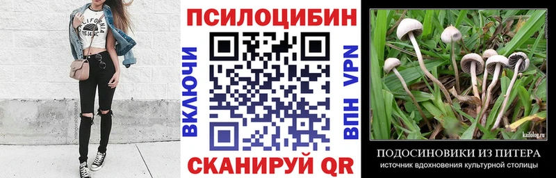Галлюциногенные грибы ЛСД Гатчина