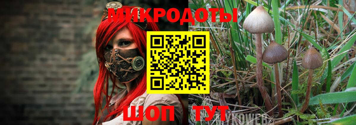 Псилоцибиновые грибы прущие грибы  Вход с VPN  Галлюциногенные грибы Psilocybe  Гатчина 