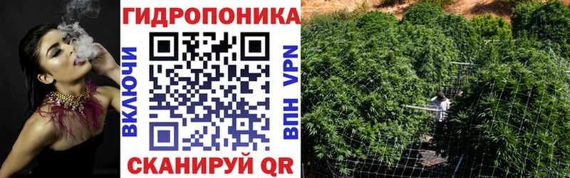 Канабис сатива  цена   Гатчина 